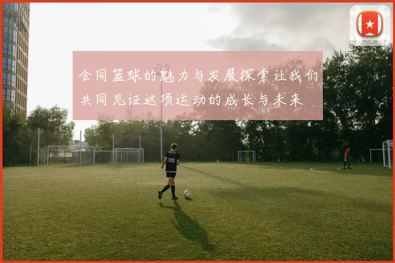 会同篮球的魅力与发展探索让我们共同见证这项运动的成长与未来