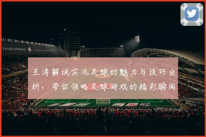 王涛解说实况足球的魅力与技巧分析，带你领略足球游戏的精彩瞬间
