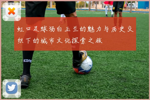 虹口足球场白玉兰的魅力与历史交织下的城市文化探索之旅